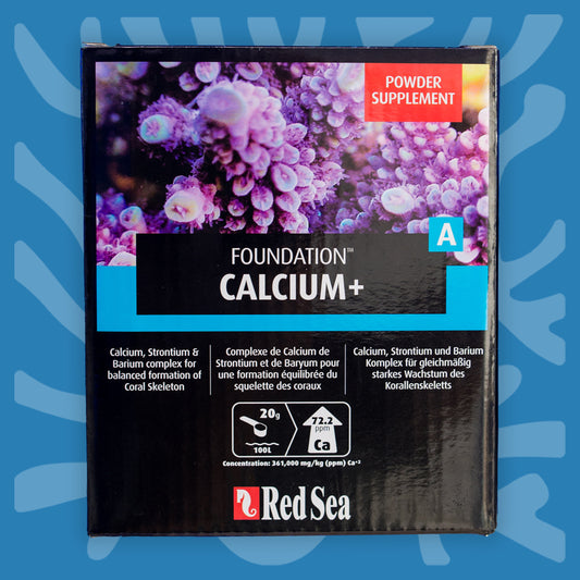 Foundation Calcium+
