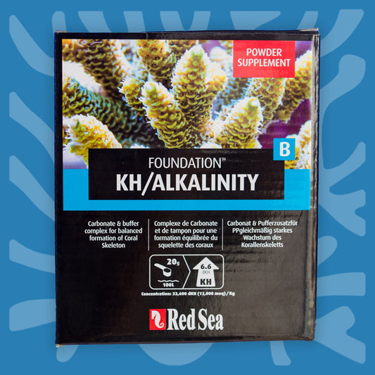 Foundation KH