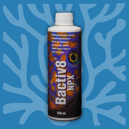 Bactiv8 NPX