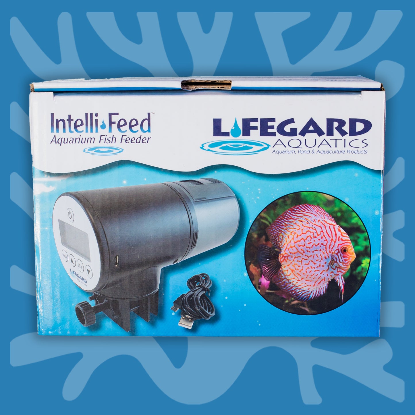Intelli Feed