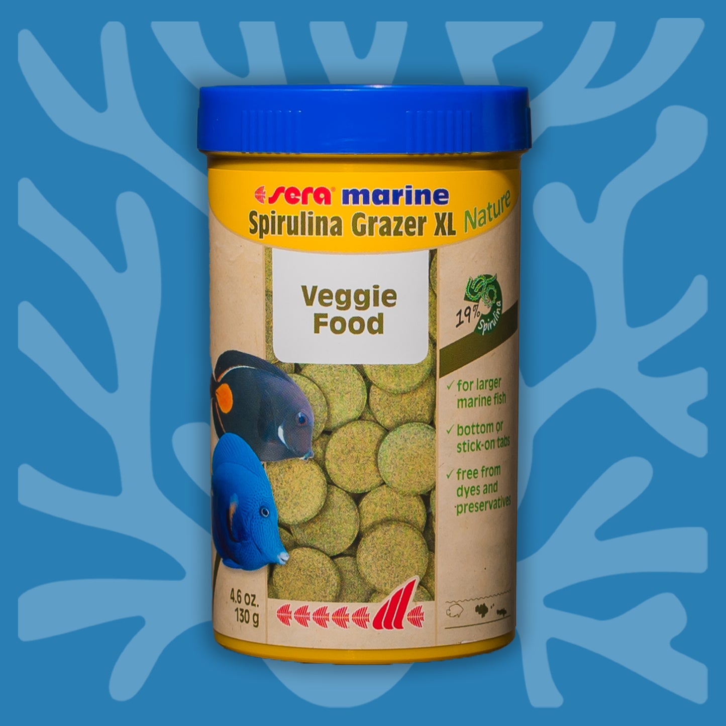 Spirulina Grazer